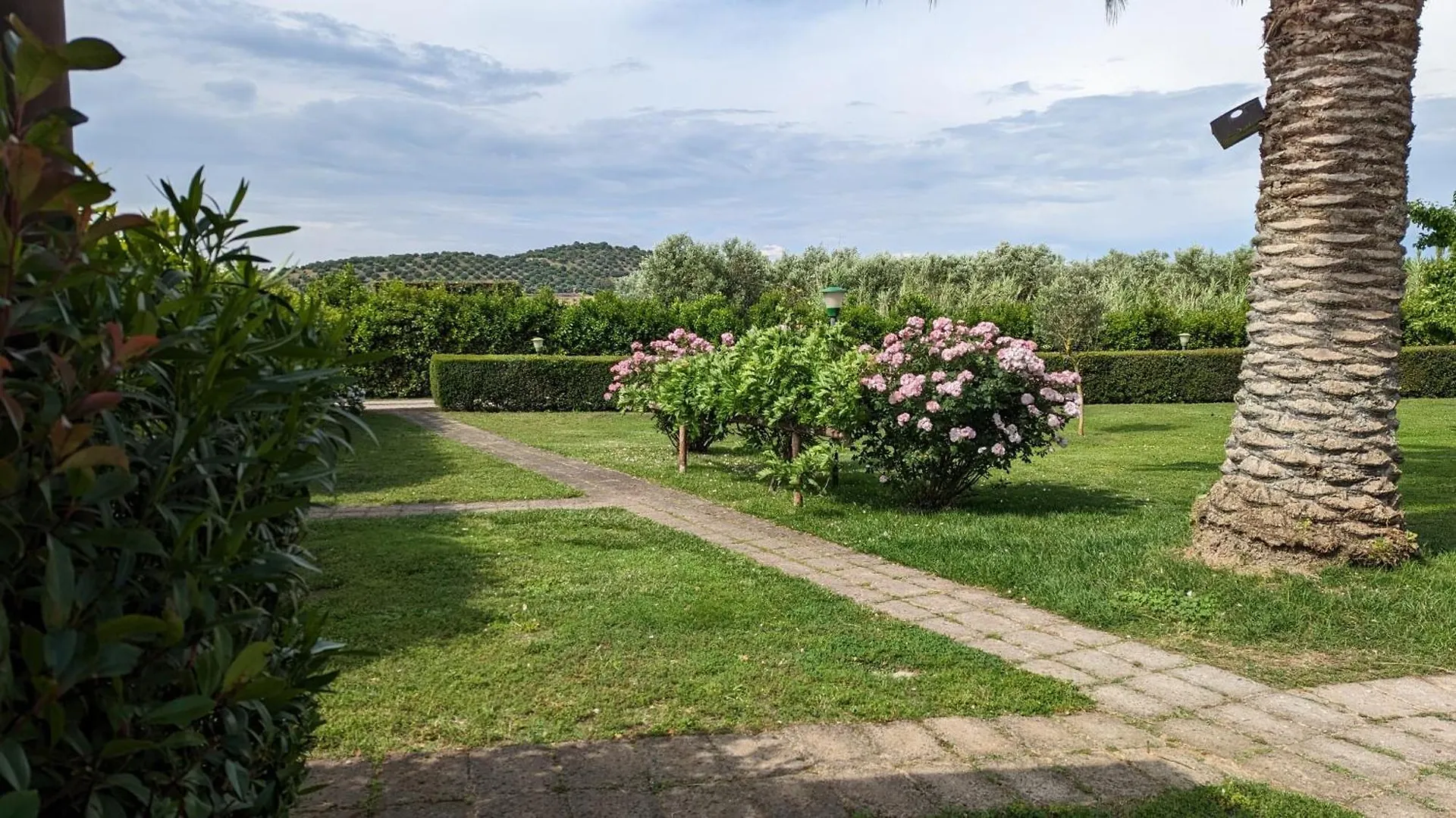 Hotel Il Cipresso Capalbio Penzion